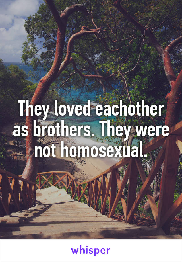 They loved eachother as brothers. They were not homosexual.