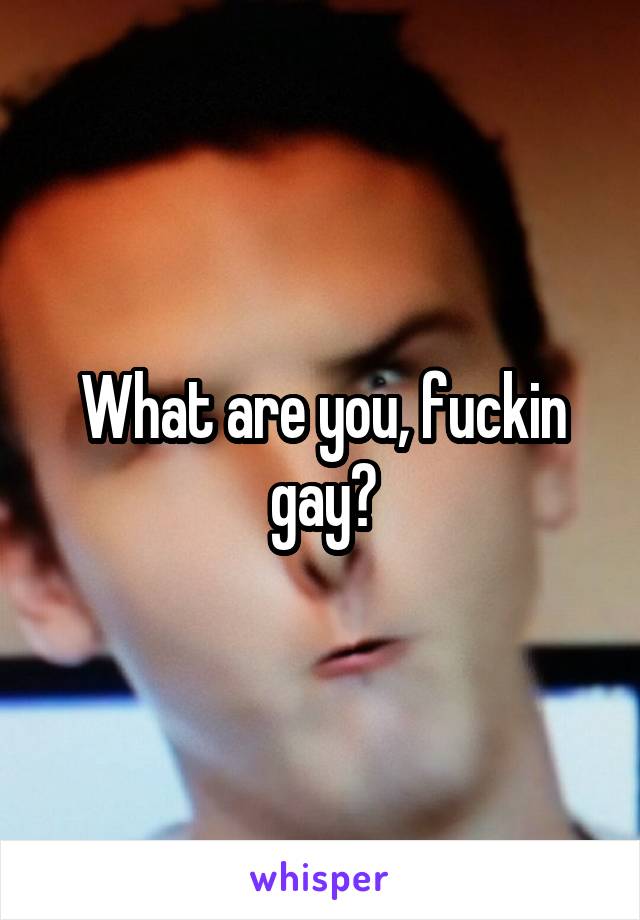 What are you, fuckin gay?