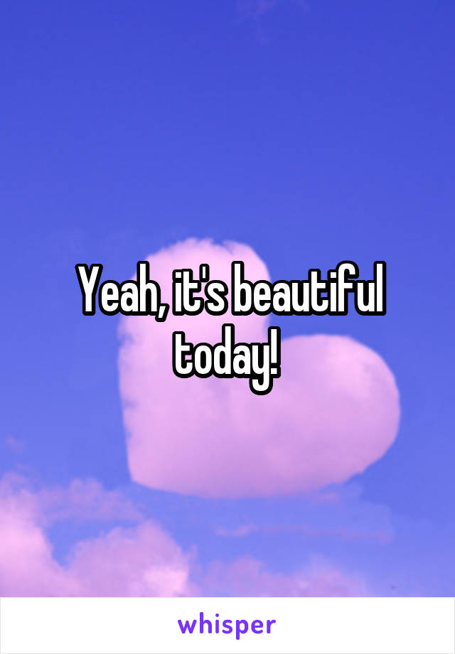 Yeah, it's beautiful today! 