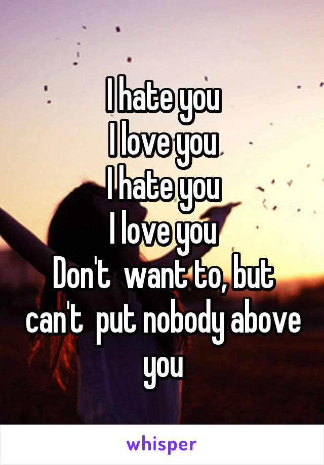 I hate you
I love you
I hate you
I love you
Don't  want to, but can't  put nobody above you