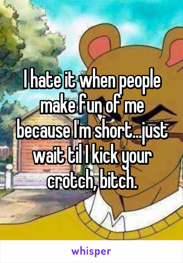 I hate it when people make fun of me because I'm short...just wait til I kick your crotch, bitch.