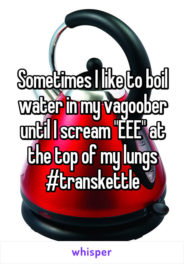 Sometimes I like to boil water in my vagoober until I scream "EEE" at the top of my lungs
#transkettle