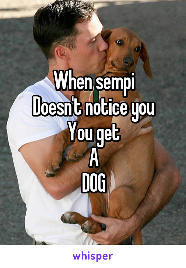 When sempi
Doesn't notice you
You get
A
DOG