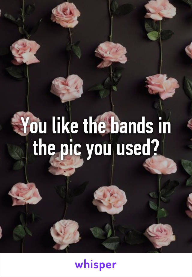 You like the bands in the pic you used?