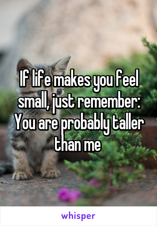 If life makes you feel small, just remember: You are probably taller than me 