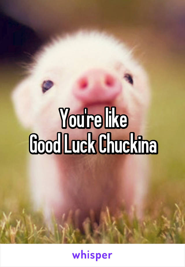 You're like
Good Luck Chuckina