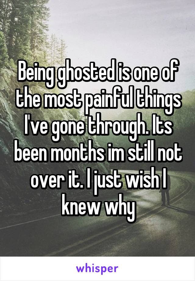 Being ghosted is one of the most painful things I've gone through. Its been months im still not over it. I just wish I knew why