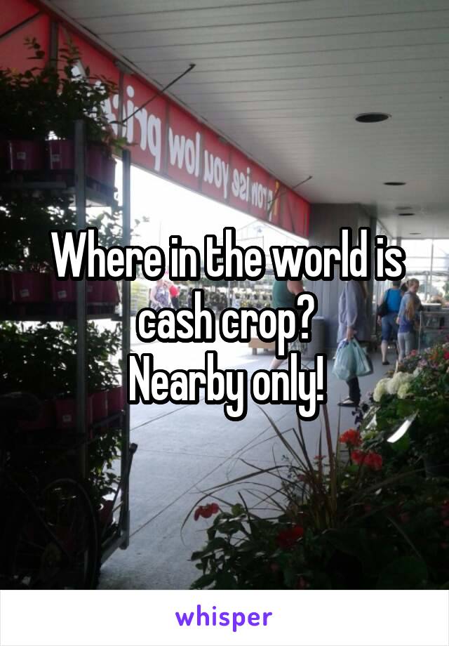 Where in the world is cash crop?
Nearby only!