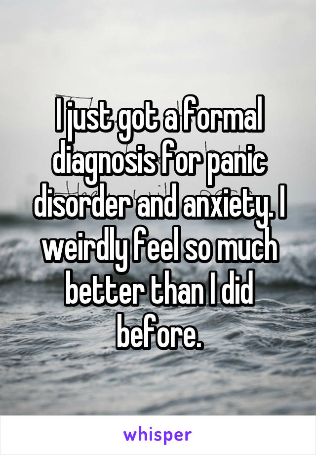 I just got a formal diagnosis for panic disorder and anxiety. I weirdly feel so much better than I did before.