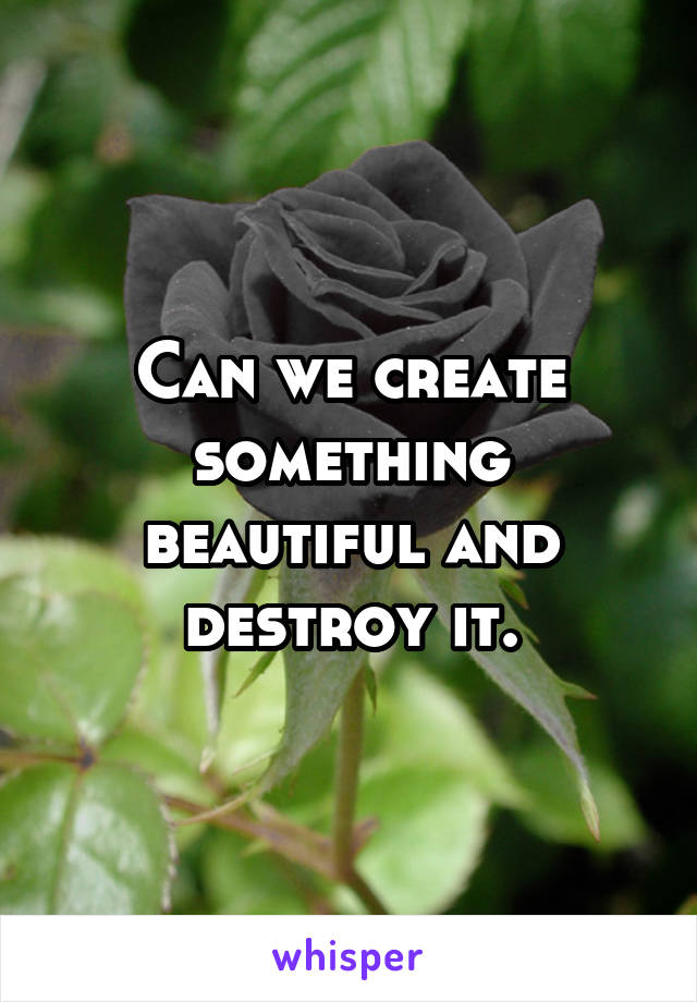 Can we create something beautiful and destroy it.