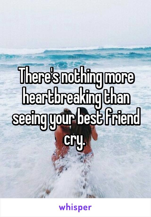 There's nothing more heartbreaking than seeing your best friend cry. 