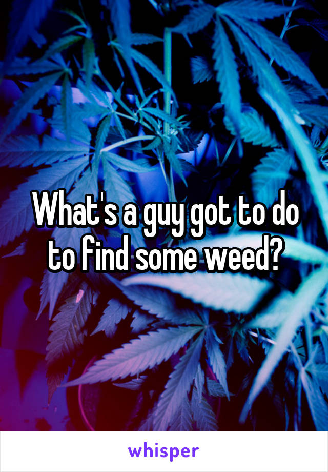 What's a guy got to do to find some weed?