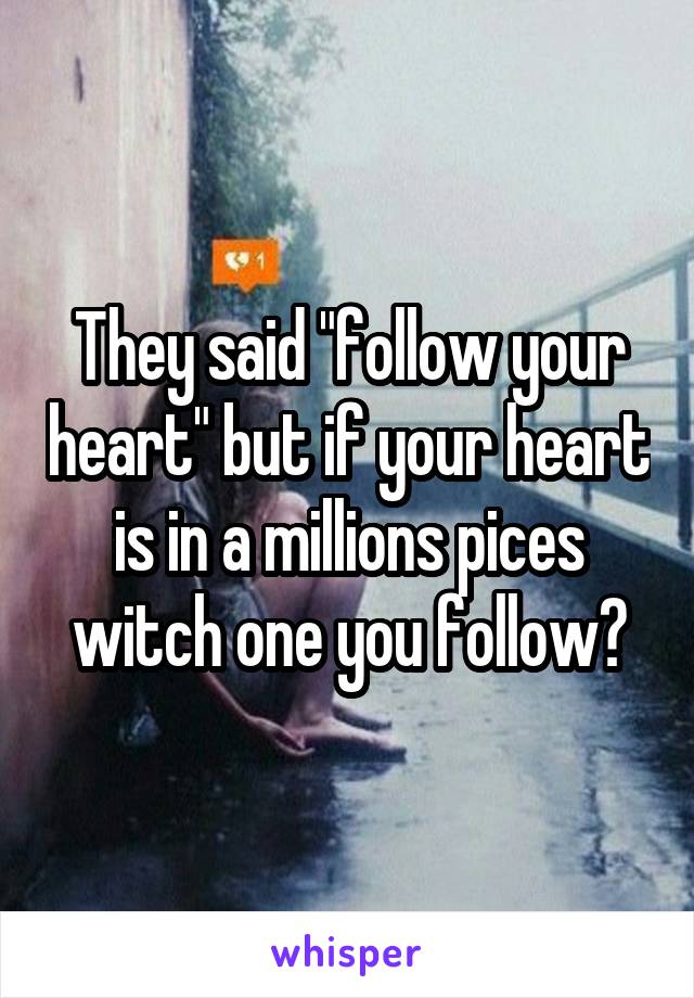 They said "follow your heart" but if your heart is in a millions pices witch one you follow?