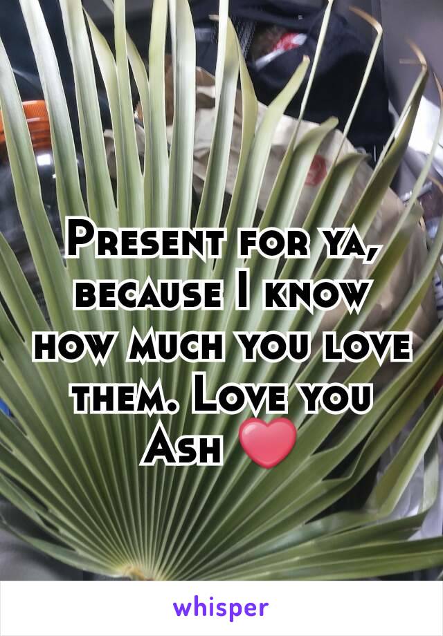 Present for ya, because I know how much you love them. Love you Ash ❤