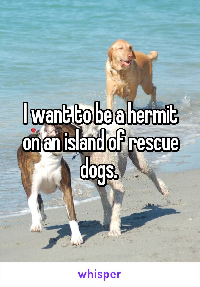 I want to be a hermit on an island of rescue dogs. 