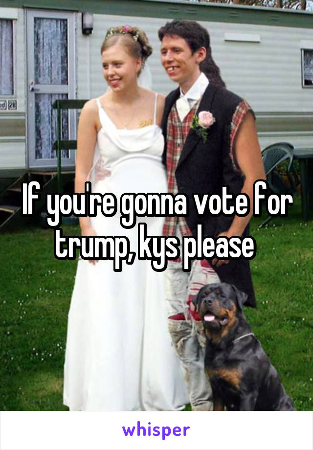 If you're gonna vote for trump, kys please 