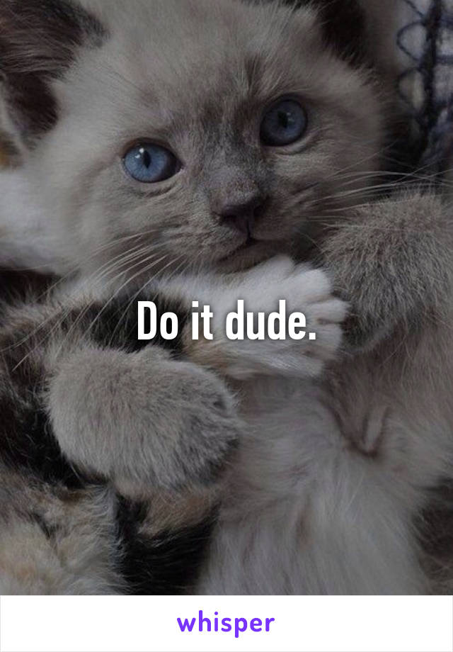 Do it dude.