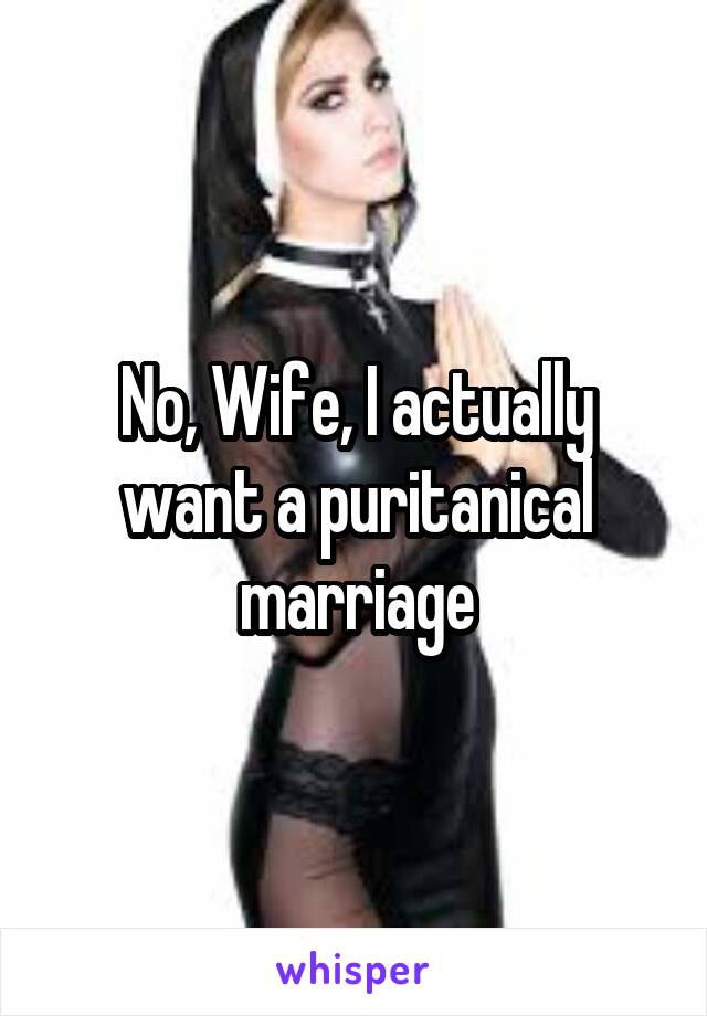 No, Wife, I actually want a puritanical marriage