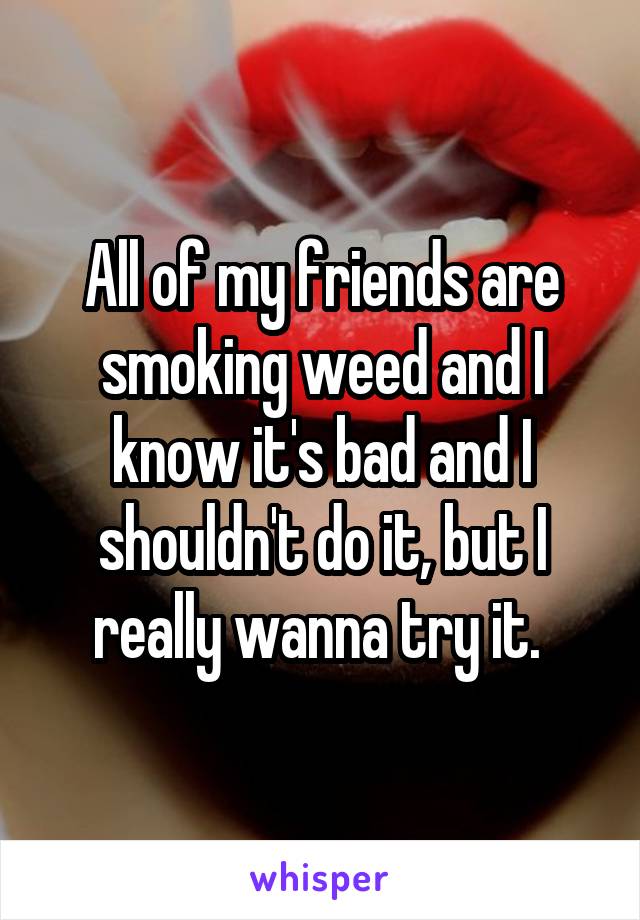 All of my friends are smoking weed and I know it's bad and I shouldn't do it, but I really wanna try it. 