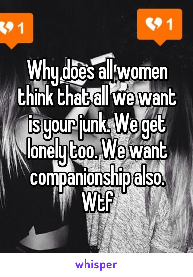 Why does all women think that all we want is your junk. We get lonely too. We want companionship also. Wtf