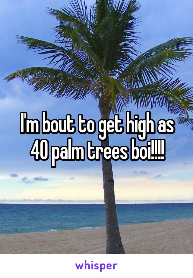 I'm bout to get high as 40 palm trees boi!!!!