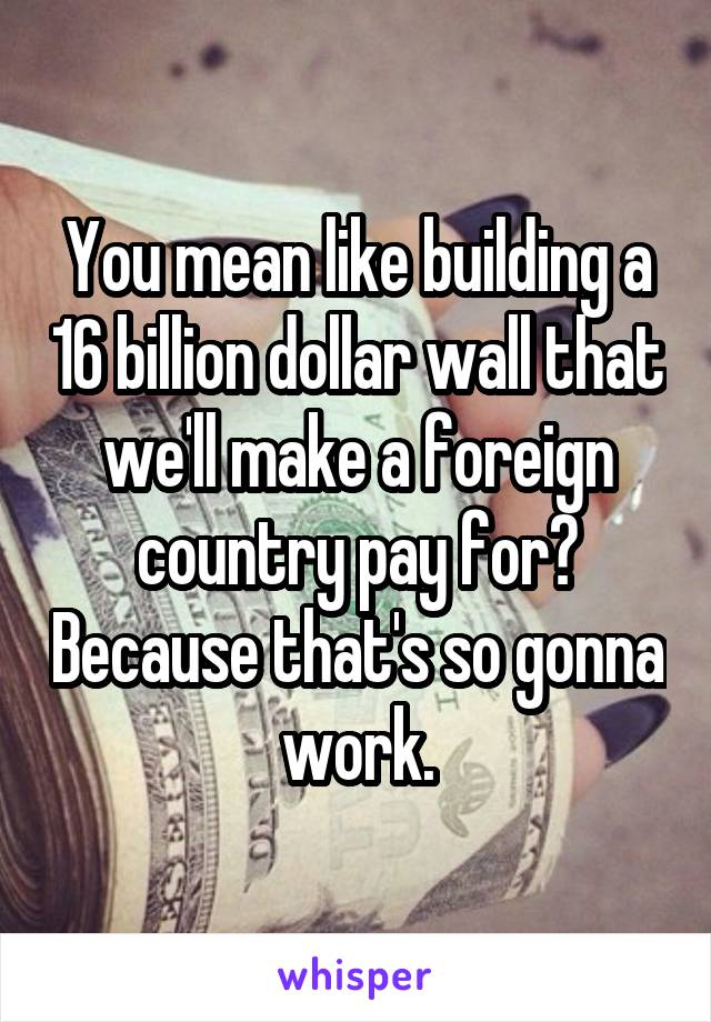 You mean like building a 16 billion dollar wall that we'll make a foreign country pay for? Because that's so gonna work.