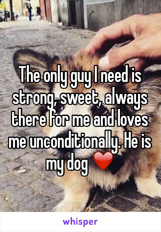 The only guy I need is strong, sweet, always there for me and loves me unconditionally. He is my dog ❤️