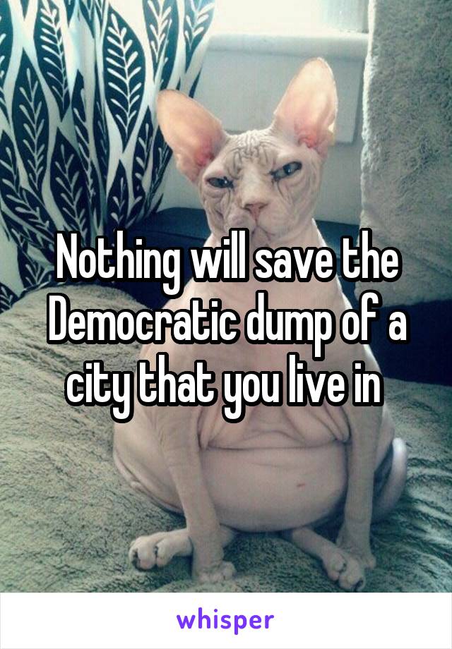 Nothing will save the Democratic dump of a city that you live in 