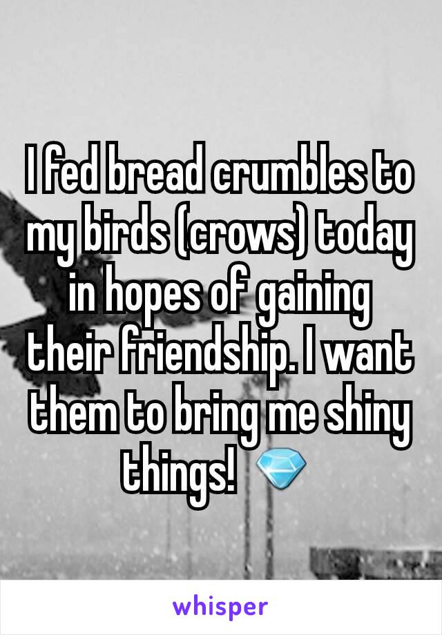 I fed bread crumbles to my birds (crows) today in hopes of gaining their friendship. I want them to bring me shiny things! 💎