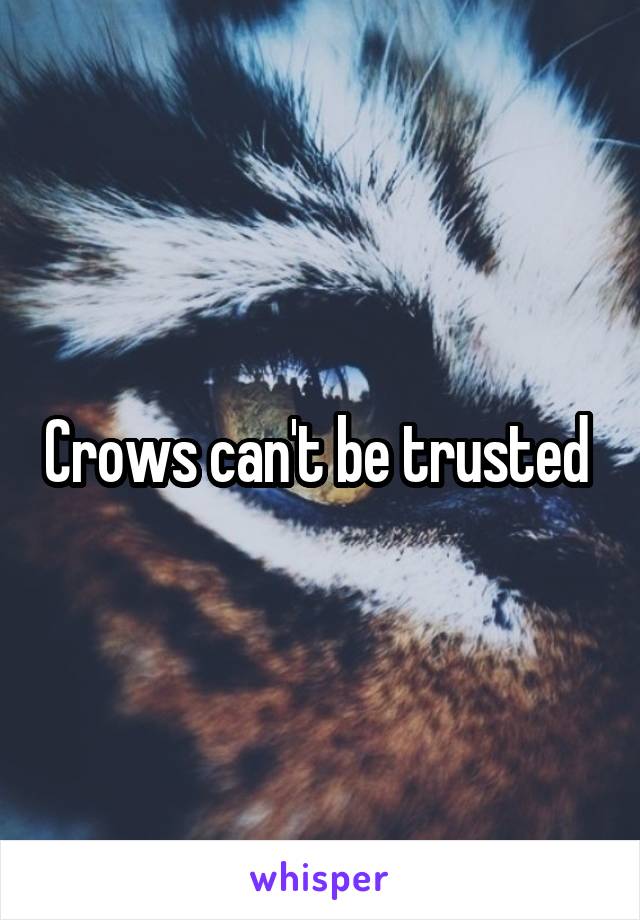 Crows can't be trusted 