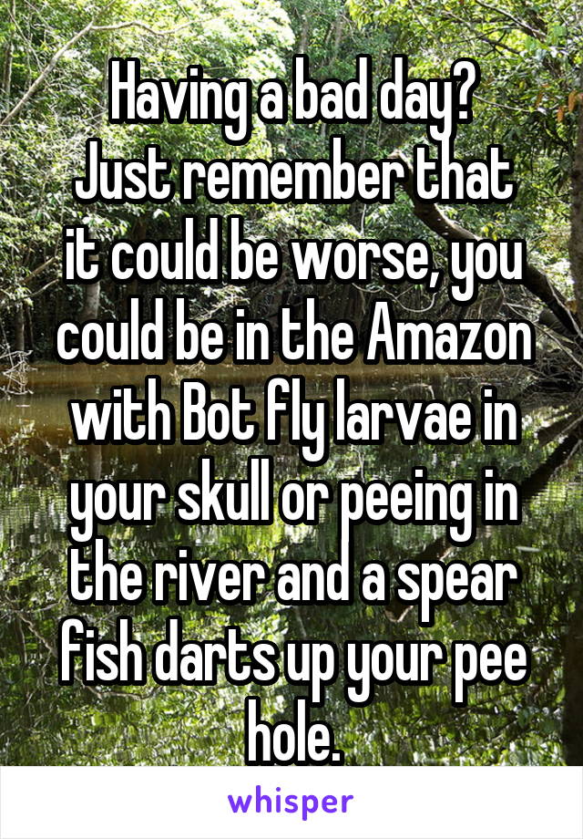 Having a bad day?
Just remember that it could be worse, you could be in the Amazon with Bot fly larvae in your skull or peeing in the river and a spear fish darts up your pee hole.