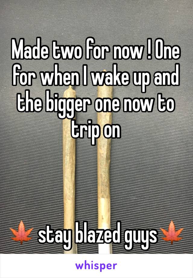 Made two for now ! One for when I wake up and the bigger one now to trip on  



🍁 stay blazed guys🍁