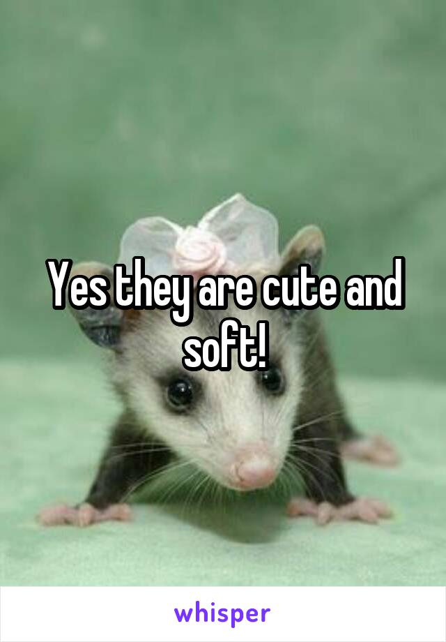 Yes they are cute and soft!