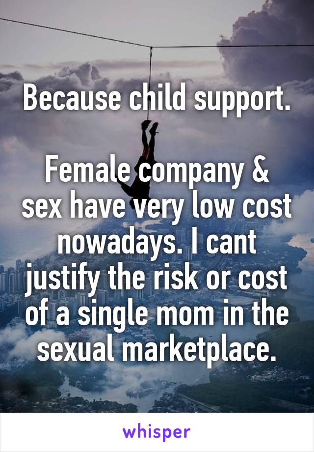 Because child support.

Female company & sex have very low cost nowadays. I cant justify the risk or cost of a single mom in the sexual marketplace.