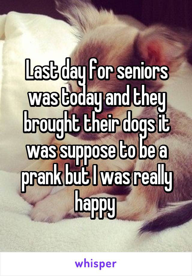 Last day for seniors was today and they brought their dogs it was suppose to be a prank but I was really happy 