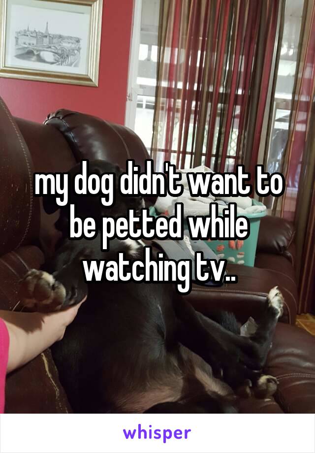 my dog didn't want to be petted while watching tv..