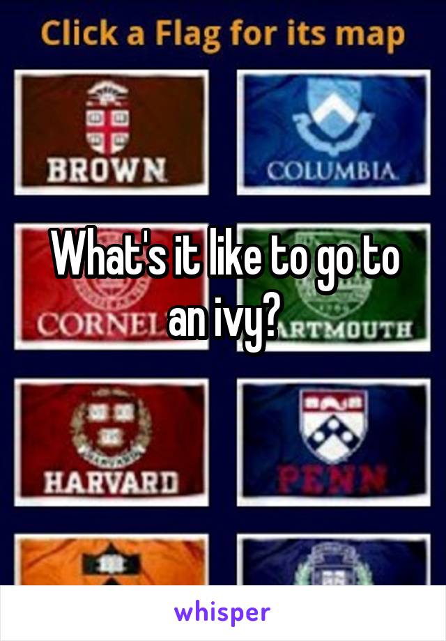 What's it like to go to an ivy?
