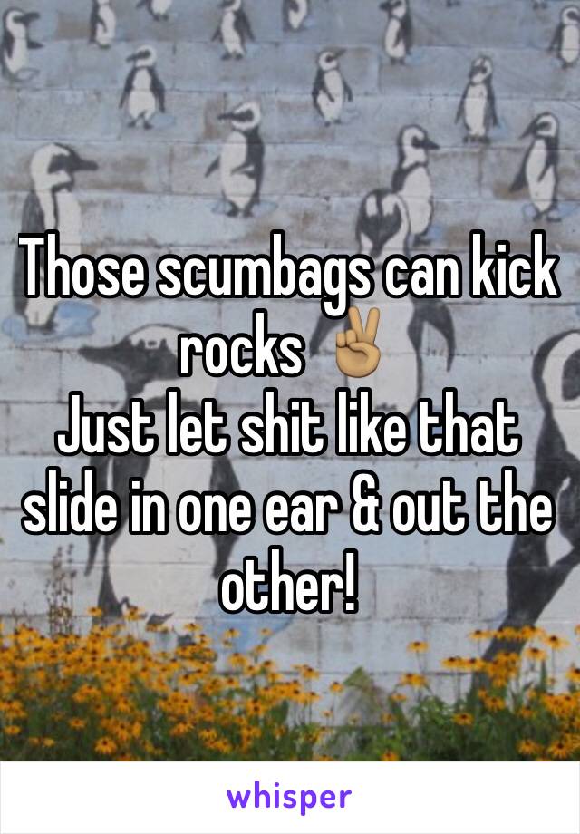 Those scumbags can kick rocks ✌🏽️
Just let shit like that slide in one ear & out the other!