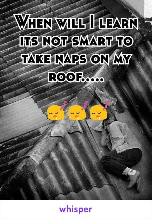 When will I learn its not smart to take naps on my roof.....

 😴😴😴