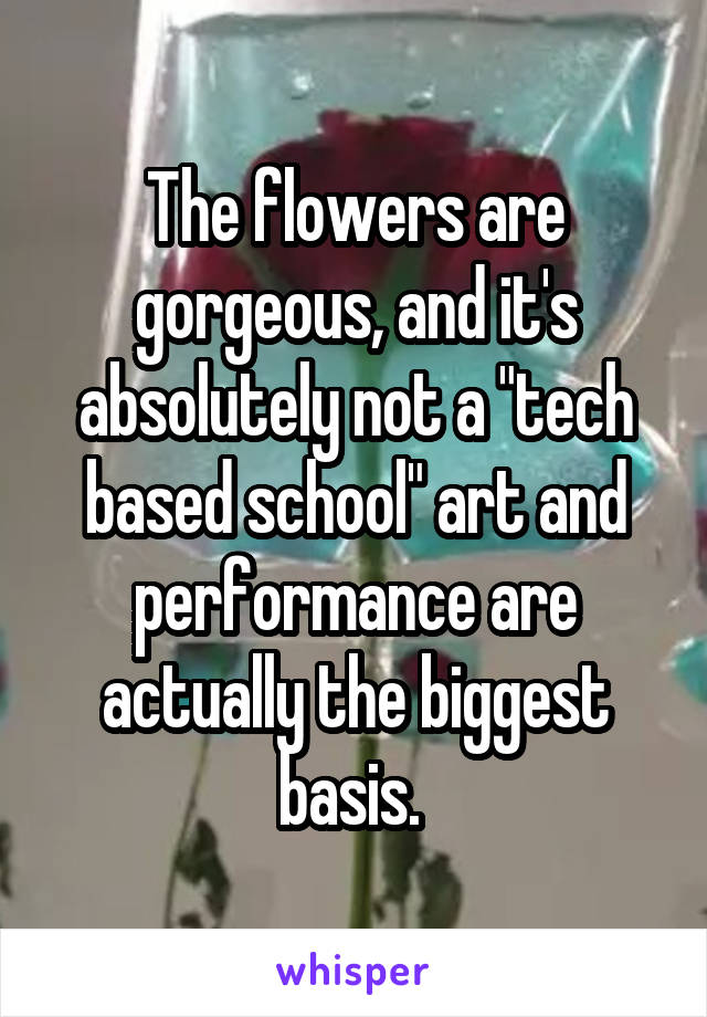 The flowers are gorgeous, and it's absolutely not a "tech based school" art and performance are actually the biggest basis. 