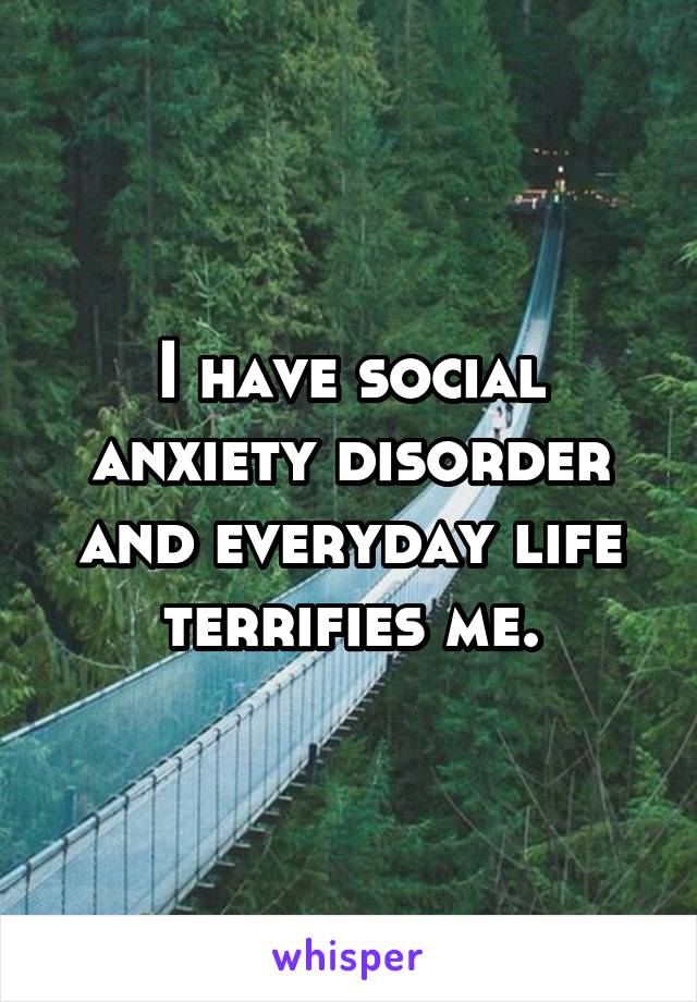 I have social anxiety disorder and everyday life terrifies me.