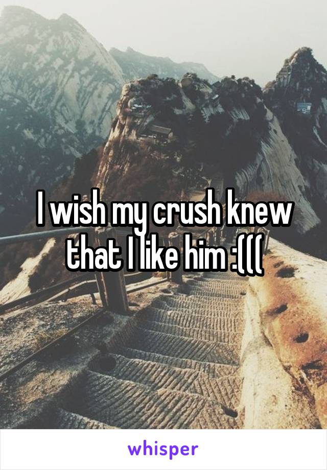 I wish my crush knew that I like him :(((