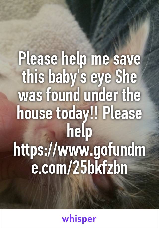 Please help me save this baby's eye She was found under the house today!! Please help
https://www.gofundme.com/25bkfzbn