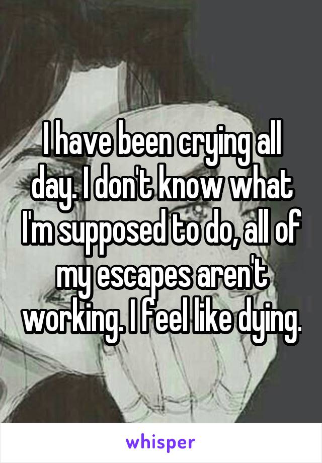 I have been crying all day. I don't know what I'm supposed to do, all of my escapes aren't working. I feel like dying.