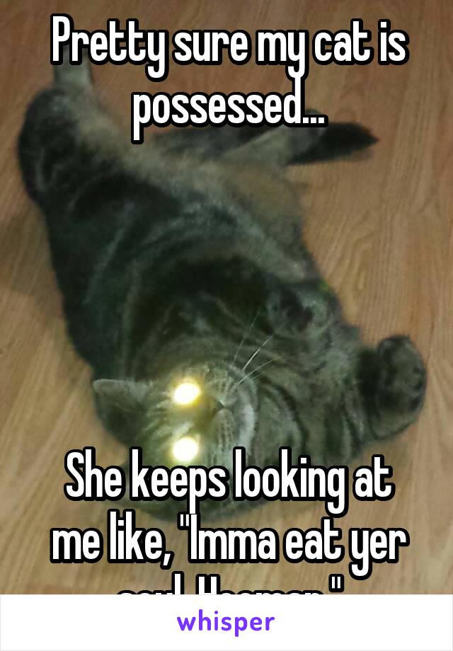 Pretty sure my cat is possessed...





She keeps looking at me like, "Imma eat yer soul, Hooman."
