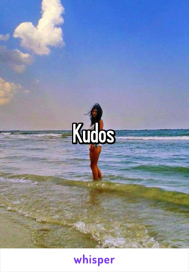 Kudos 