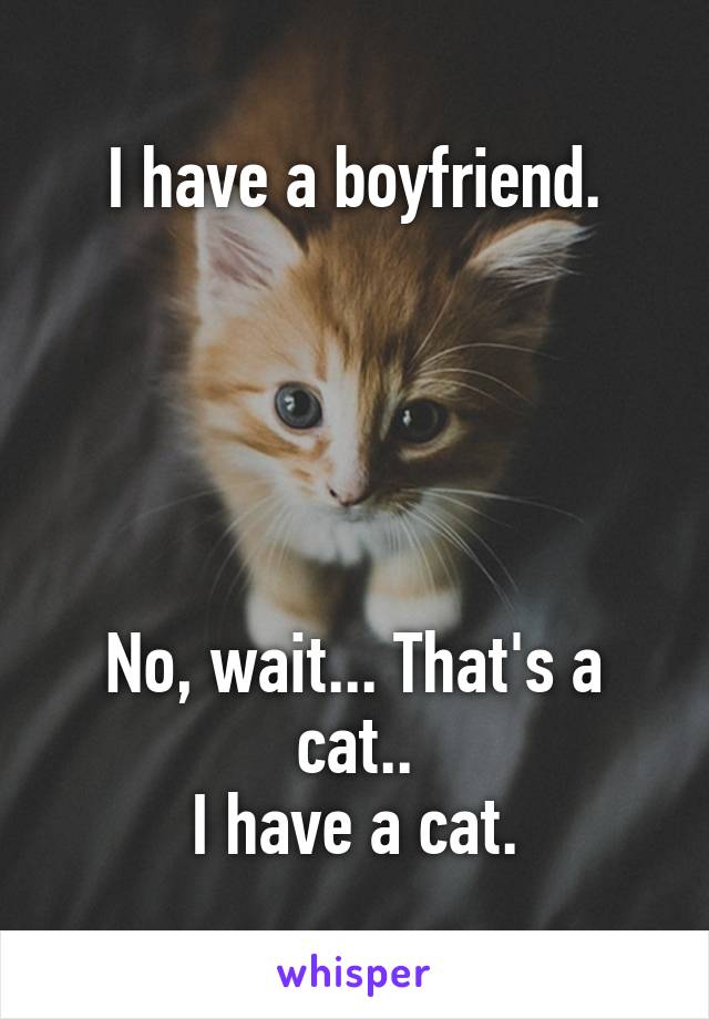 I have a boyfriend.





No, wait... That's a cat..
I have a cat.
