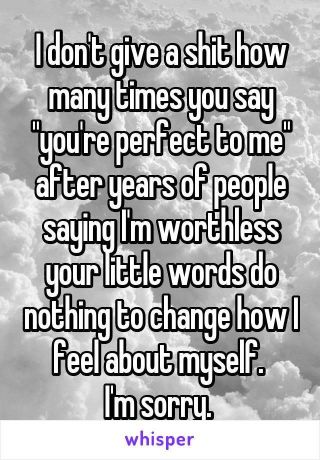 I don't give a shit how many times you say "you're perfect to me" after years of people saying I'm worthless your little words do nothing to change how I feel about myself. 
I'm sorry. 