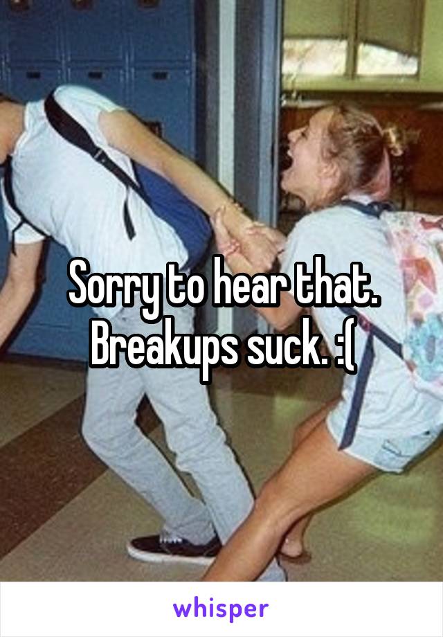 Sorry to hear that. Breakups suck. :(