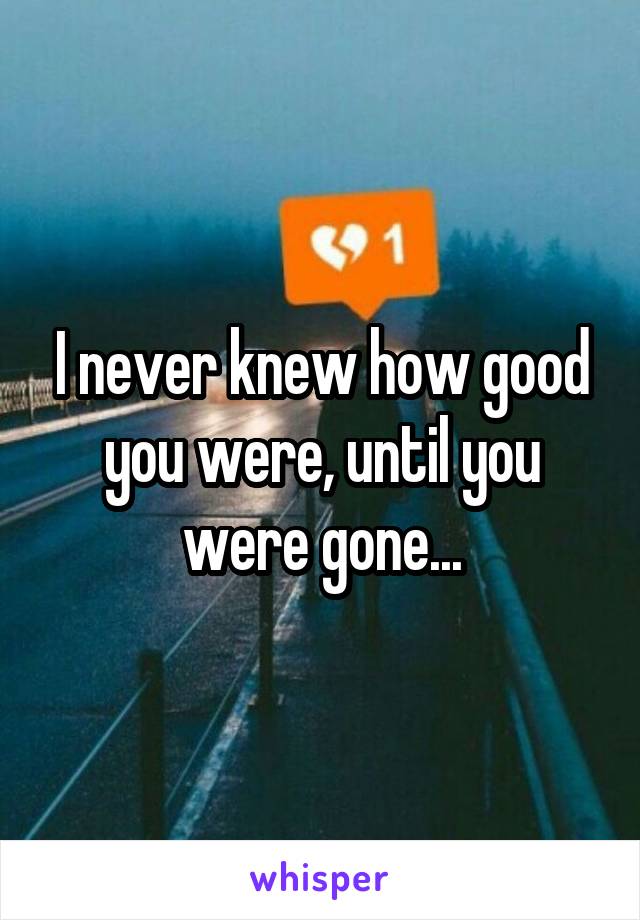 I never knew how good you were, until you were gone...